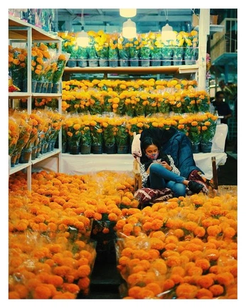 A cover of "Streets" cluster. The owner is iris.dk. The cluster consists of 5 elements.