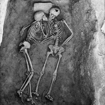 A cover of "life." cluster. The owner is anjolena. The cluster consists of 27 elements.