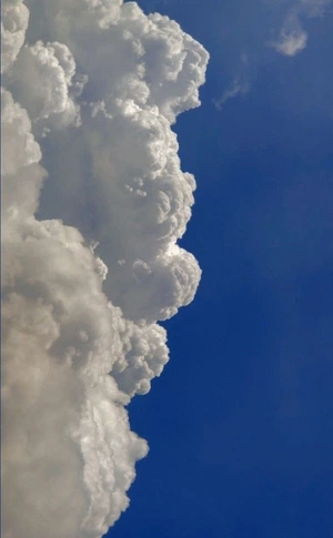 Arseny Zhurba avatar