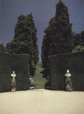 A cover of "la dolce vita" cluster. The owner is joananeziri. The cluster consists of 11 elements.