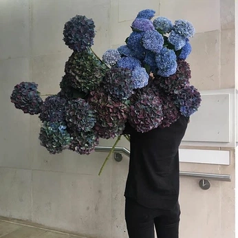 A cover of "florals" cluster. The owner is libbybax. The cluster consists of 56 elements.