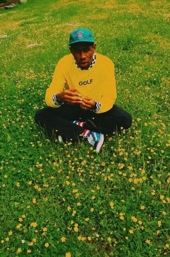 A cover of "Tyler The Creator poster" cluster. The owner is eliskahorsulak. The cluster consists of 1 element.