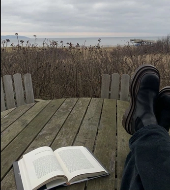 A cover of "plant skaterbookworm mum" cluster. The owner is hibwyaoy. The cluster consists of 158 elements.