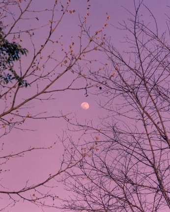 A cover of "Photo" cluster. The owner is stephie.rr. The cluster consists of 22 elements.