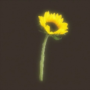 A cover of "Mereces flores con amor" cluster. The owner is maurensgr. The cluster consists of 63 elements.