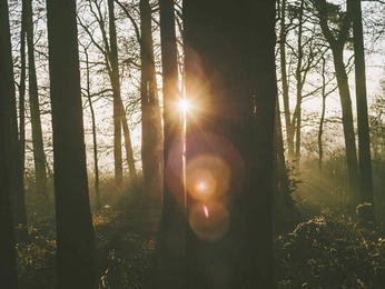 A cover of "miskas" cluster. The owner is agotakuni. The cluster consists of 2 elements.