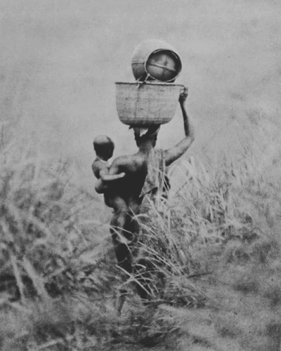 An Instagram  post added by kusal on Jun 21, 2024. The author is @sol_calypso. May present: monochrome, hat, motor vehicle, grass, plant.