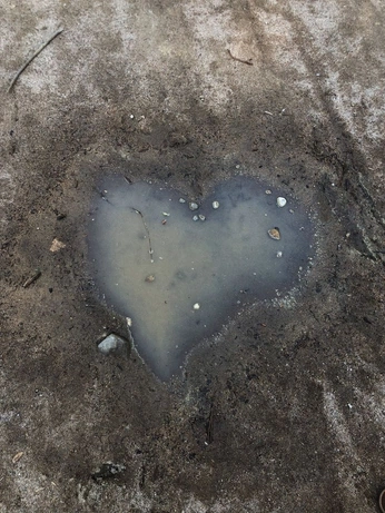 A cover of "<3" cluster. The owner is matchamai. The cluster consists of 19 elements.