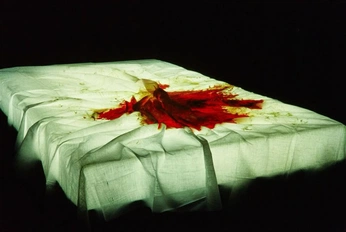 A cover of "SET DESIGN" cluster. The owner is rriddim. The cluster consists of 5 elements.