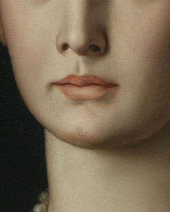 A cover of "portrait details" cluster. The owner is visionz415. The cluster consists of 42 elements.