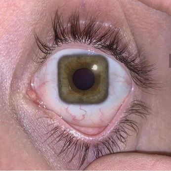 A cover of "weirdcore :P" cluster. The owner is gayz11410. The cluster consists of 45 elements.