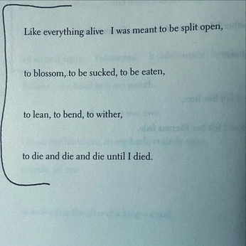 A cover of "Poezie en literatuur" cluster. The owner is donkigotte. The cluster consists of 8 elements.