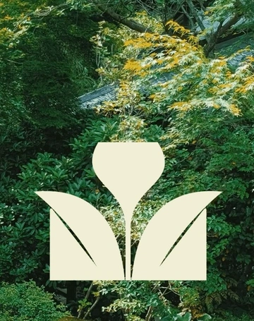 Cover of Animation cluster