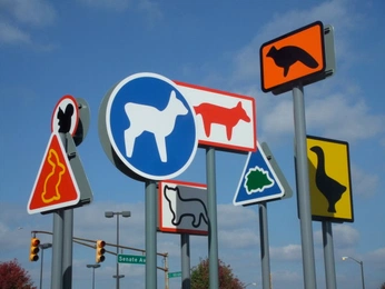 A cover of "Mind Room" cluster. The owner is jpelasio. The cluster consists of 4 elements.