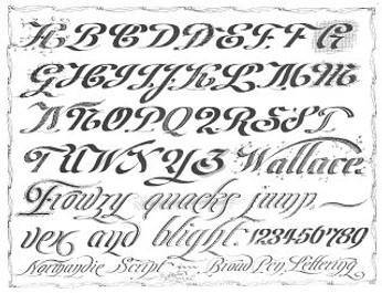 A cover of "Type" cluster. The owner is gr3yflora. The cluster consists of 33 elements.