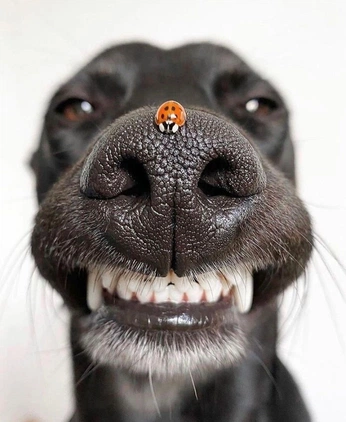 A cover of "50 Things project" cluster. The owner is emeraldrogness. The cluster consists of 50 elements.