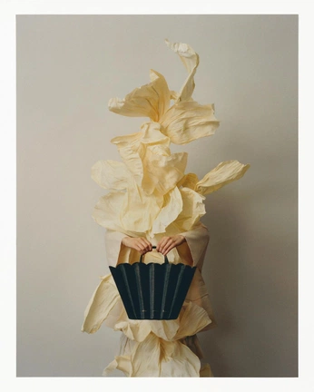 A cover of "Flora" cluster. The owner is tannagibbons. The cluster consists of 2 elements.