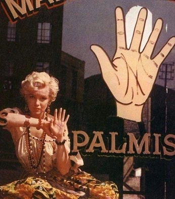 A cover of "ig feed" cluster. The owner is cuspofcami. The cluster consists of 84 elements.