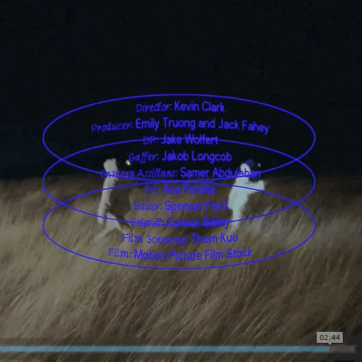 Stay for the Credits
