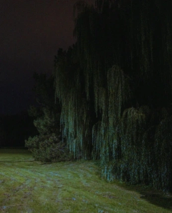 A cover of "Gardens" cluster. The owner is kevsmehta. The cluster consists of 2 elements.