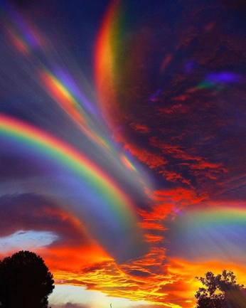 A cover of "Progetto grafica" cluster. The owner is habereleonora. The cluster consists of 7 elements.