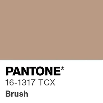 A cover of "Pantone, Brush" cluster. The owner is sarahlindsay. The cluster description is "PANTONE 16-1317 Brush / #B99984 - References for Inspiration". The cluster consists of 69 elements.