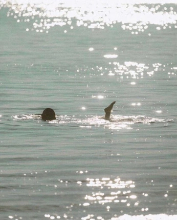 A cover of "One" cluster. The owner is daher. The cluster consists of 1 element.