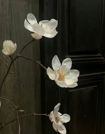 A cover of "fruit bats" cluster. The owner is marmalade.maiden. The cluster consists of 141 elements.