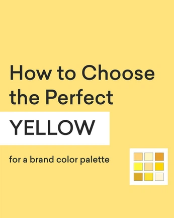 A cover of "Colors" cluster. The owner is meetpithadiya44. The cluster consists of 29 elements.