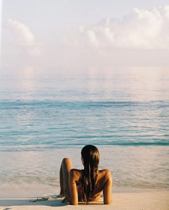 A cover of "Fin" cluster. The owner is florencefox. The cluster consists of 2 elements.