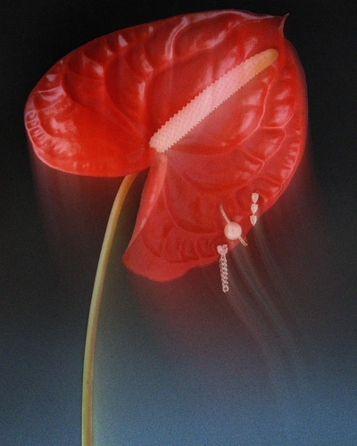 An Instagram  post added by victorroll on Feb 29, 2024. The author is @jessccbell. May present: flower, plant, petal, liquid, terrestrial plant.