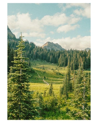 A cover of "BIG PNW" cluster. The owner is swedge. The cluster consists of 81 elements.