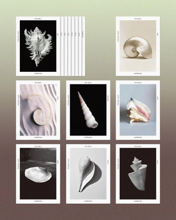 A cover of "Carte Postale" cluster. The owner is paulinas. The cluster consists of 7 elements.