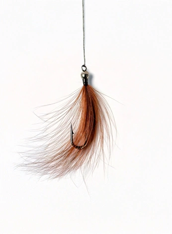 A cover of "FGI" cluster. The owner is willkes. The cluster consists of 3 elements.