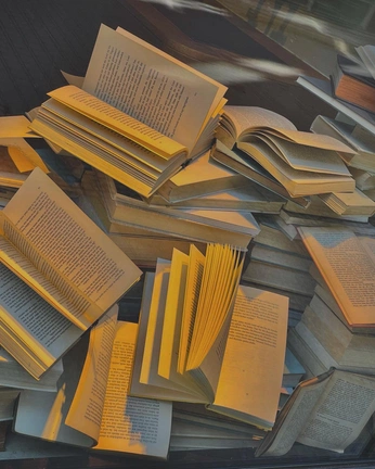 A cover of "Book’d" cluster. The owner is btcsugardaddy. The cluster consists of 29 elements.