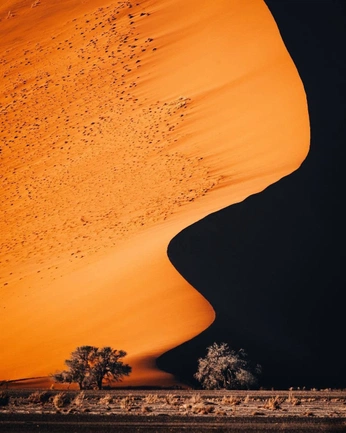 A cover of "flashinglights" cluster. The owner is evabardusmartin. The cluster consists of 31 elements.