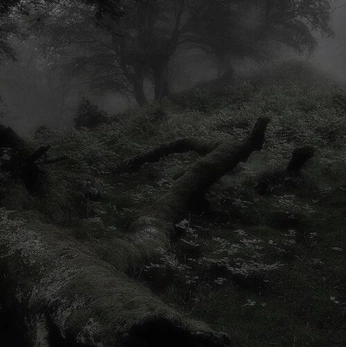 A cover of "beautiful+eerie" cluster. The owner is serafae8starfire. The cluster consists of 8 elements.