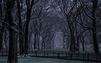 A cover of "My Aura" cluster. The owner is sun.kisse5. The cluster consists of 32 elements.