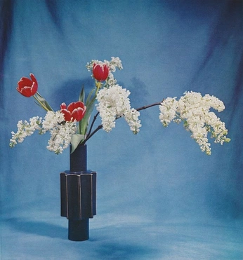 A cover of "Lighting" cluster. The owner is roosalie. The cluster consists of 1 element.