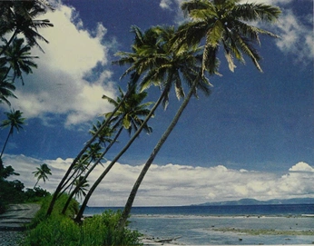 A cover of "wow" cluster. The owner is dlorieeen. The cluster consists of 2 elements.