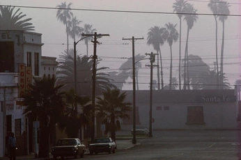 A cover of "Guess Briefing" cluster. The owner is jamielite. The cluster consists of 12 elements.