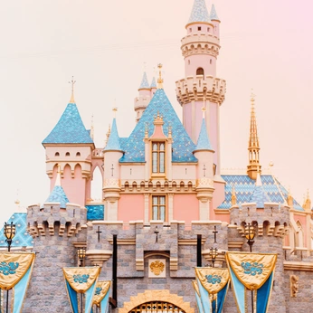 A cover of "disneyland" cluster. The owner is lily.grace. The cluster consists of 484 elements.