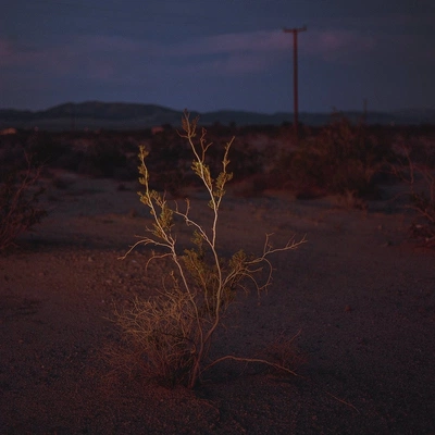 An Instagram  post added on Jan 23, 2024. The author is @shadowontherun. May present: sky, cloud, plant, natural landscape, dusk.