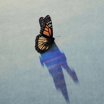 A cover of "005 / new beginnings" cluster. The owner is patriciacabeza. The cluster consists of 19 elements.