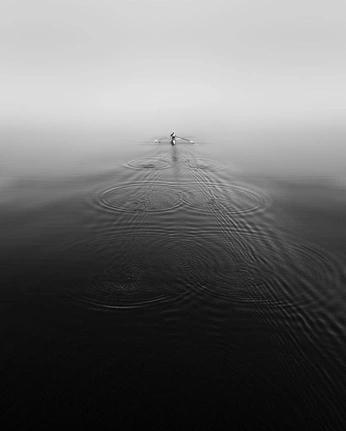 A cover of "Superhuman" cluster. The owner is pajaro. The cluster consists of 46 elements.