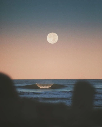 A cover of "SURF" cluster. The owner is blancobungalow. The cluster consists of 2 elements.