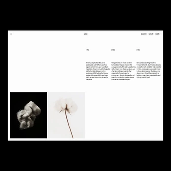 A cover of "Web" cluster. The owner is yungadz. The cluster consists of 6 elements.