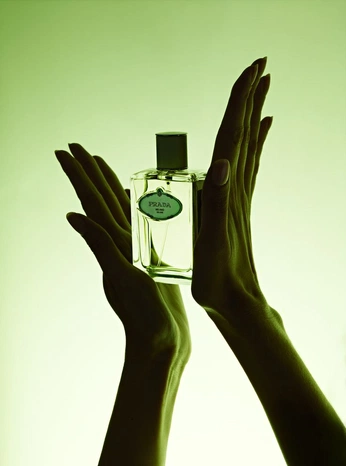 A cover of "HEX_Sunlit herb" cluster. The owner is loutae. The cluster consists of 3 elements.