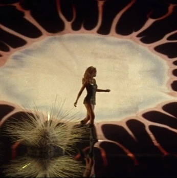 A cover of "৻ꪆ" cluster. The owner is fleshmaiden. The cluster description is "my wife!!!!!!!!!". The cluster consists of 67 elements.