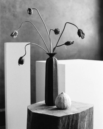 A cover of "Vessels" cluster. The owner is mimilunde. The cluster consists of 16 elements.